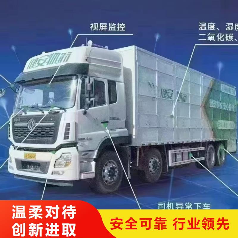 洛阳到新疆种猪恒温车运输设备精良