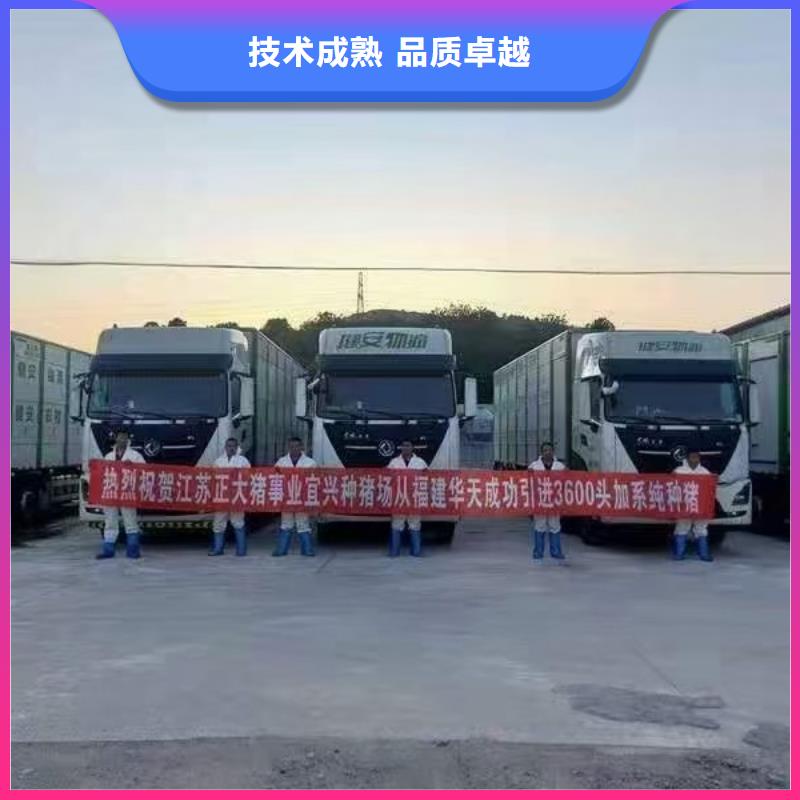 盐城到生猪运输-恒温车正规团队本地公司