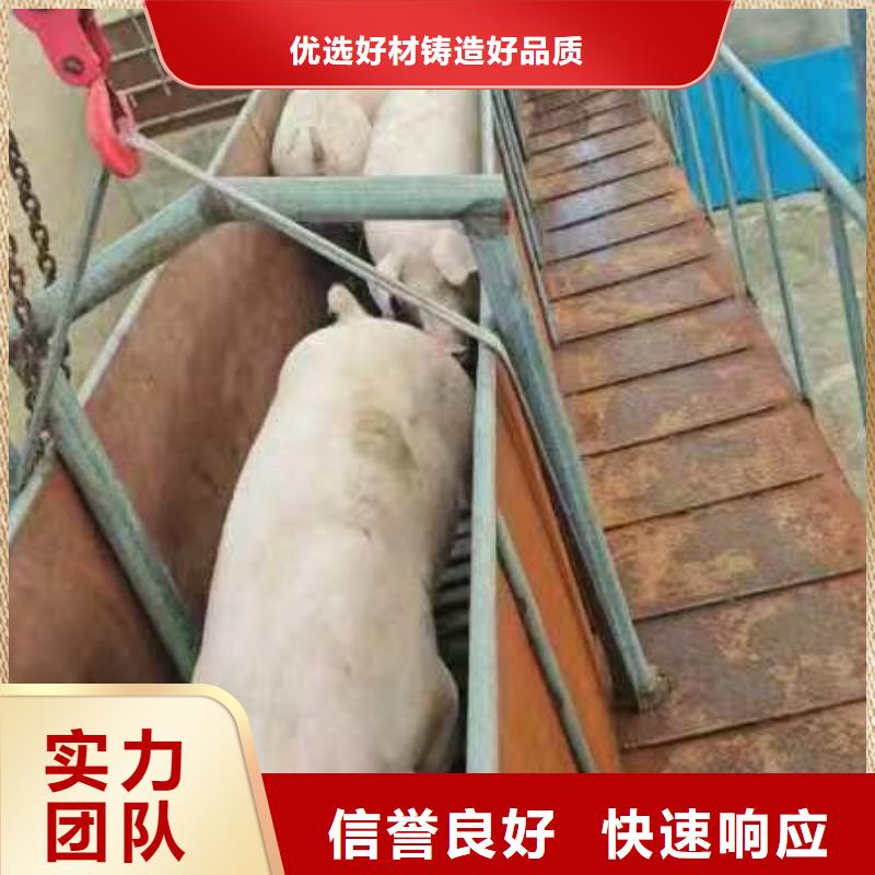 浙江到二育运输助您降低采购成本