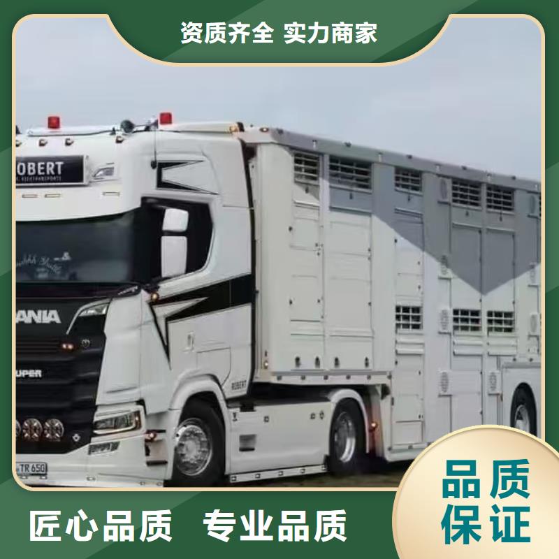 扬州到深圳猪笼车物流-专用车实力雄厚