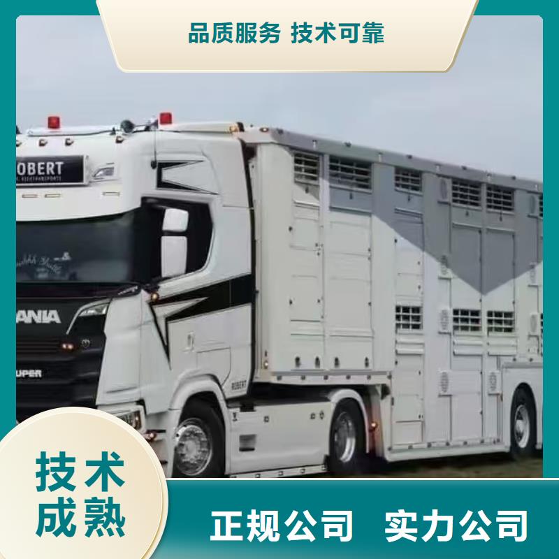 安徽到芜湖仔猪运输