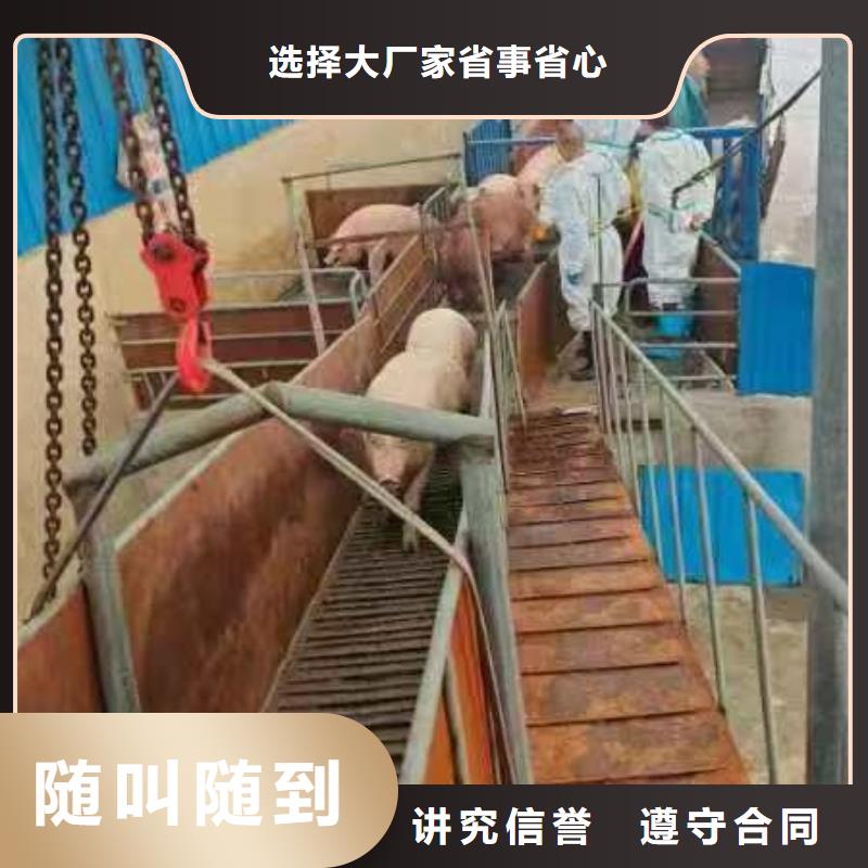 宿迁市泗阳到唐山恒温车运输-恒温车良好口碑