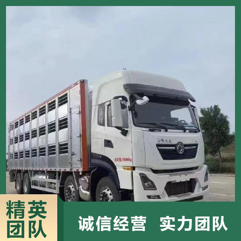 泗阳到黄山二育运输
