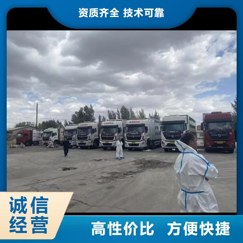 ​泗洪到黄山二育运输