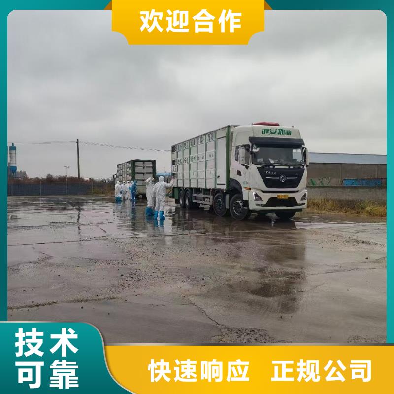 泗洪到连云港恒温车运输专业团队生猪运输