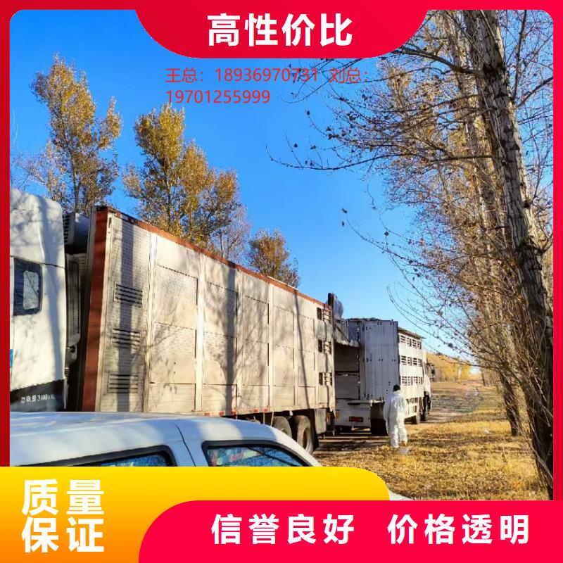 宿迁到猪牛羊运输工艺成熟