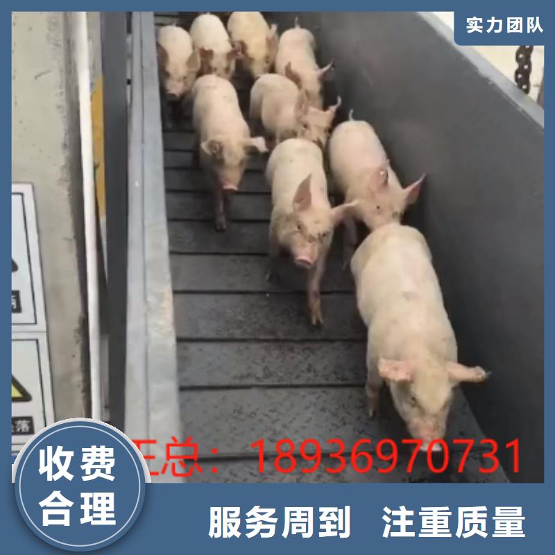 泗阳到连云港恒温车运输