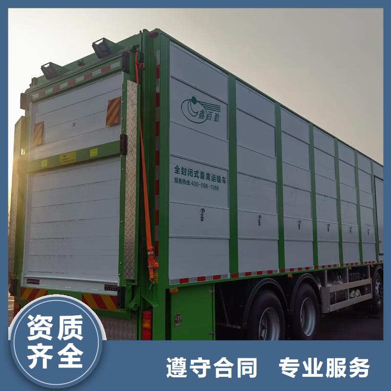 泗阳到空调车运输正规厂家