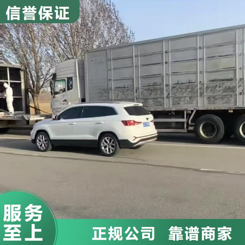 宿迁沭阳到衡水羊运输专用车调度精准
