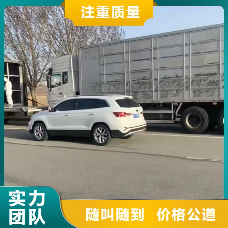 洛阳至海北猪牛羊运输品牌知名