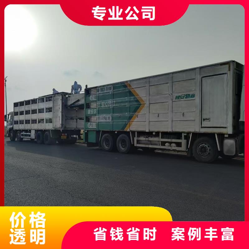 宿迁泗阳到怀化牛运输专用车温柔对待