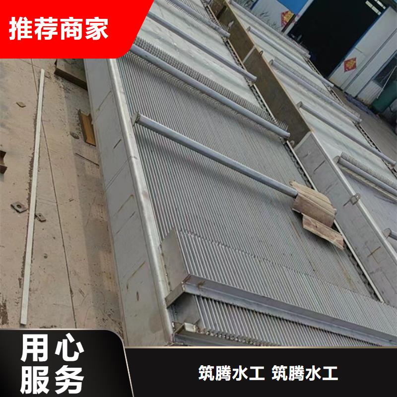 水电站清污机直销厂家专业品质