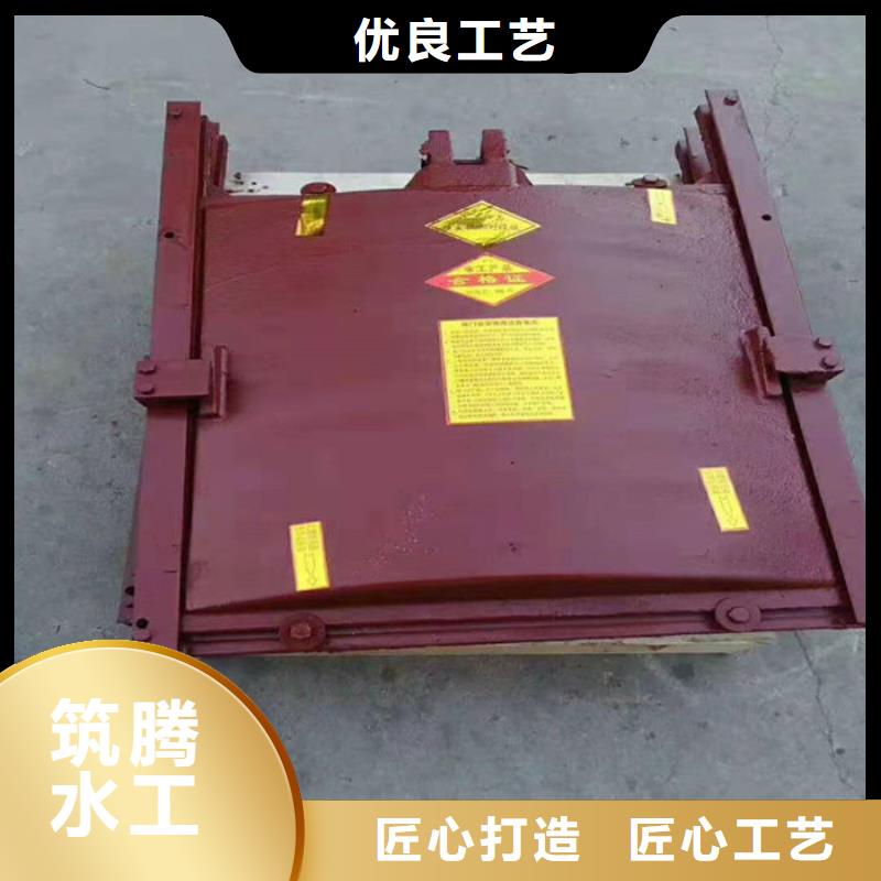 附壁式铸铁闸门真诚合作多年行业积累