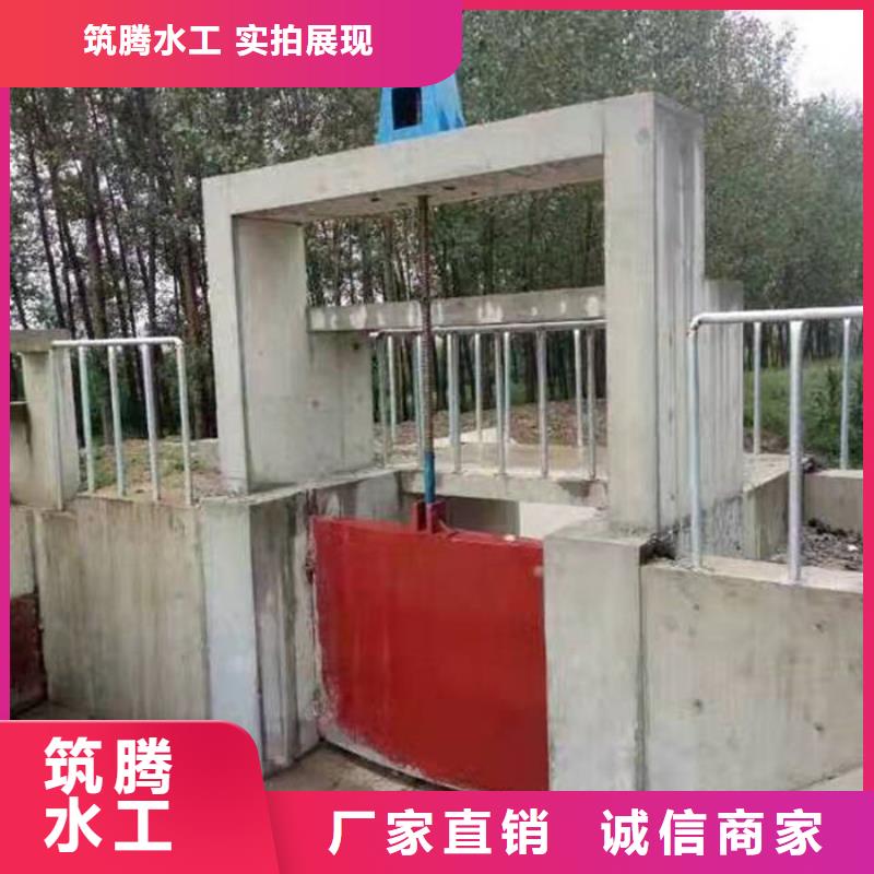平面铸铁闸门型号齐全本地制造商