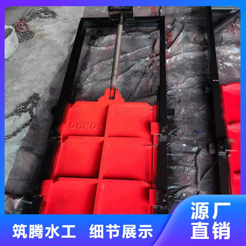 平板铸铁闸门型号齐全客户信赖的厂家