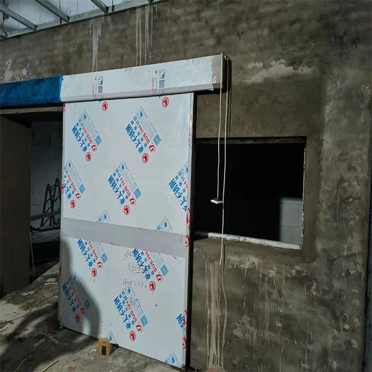 铅板门1000*2200mm*4mmpb厂家-诚信经营厂家批发价