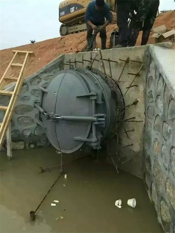 拍门-方拍门订购