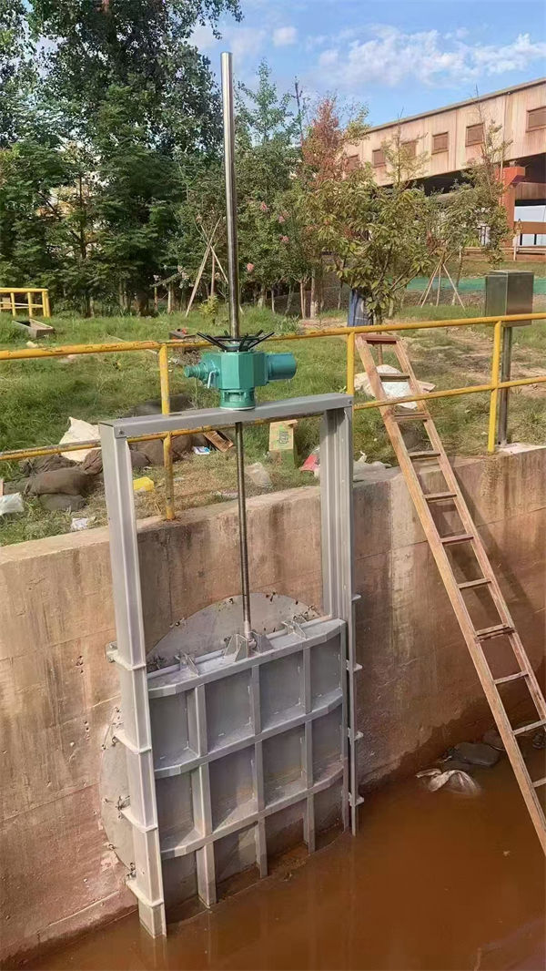 不锈钢闸门,双止水不锈钢闸门自主研发工厂采购