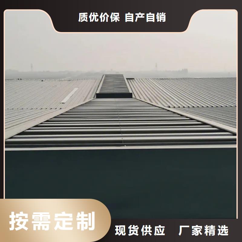 电动通风气楼同城制造商