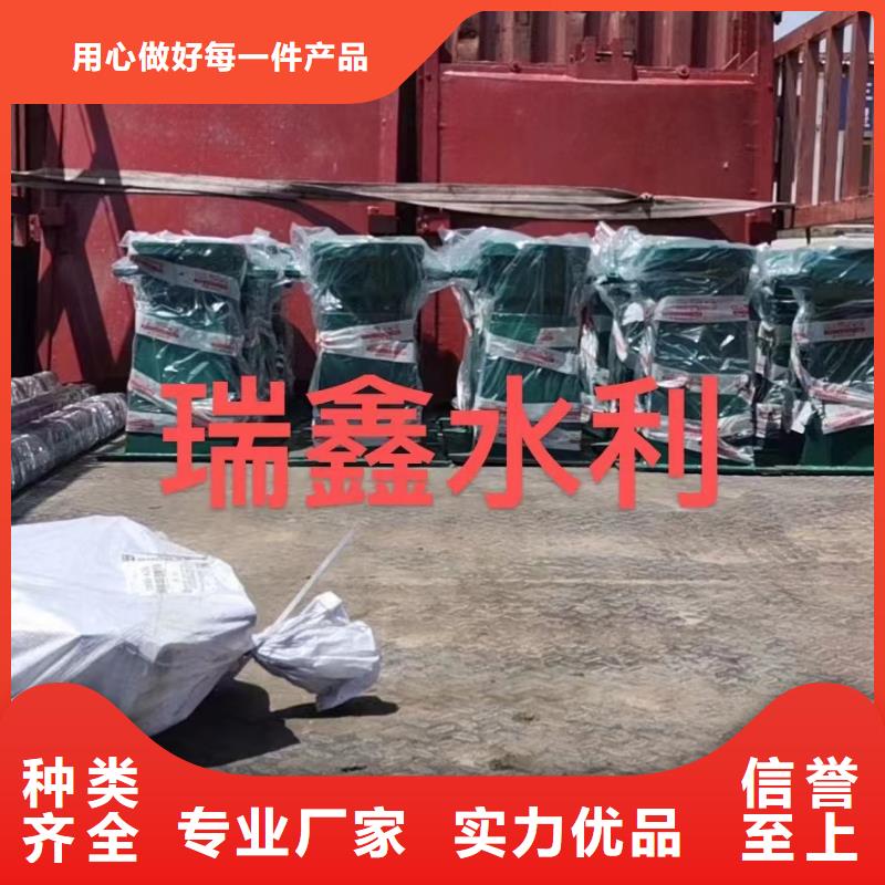 滑块钢闸门本地供货商当地制造商