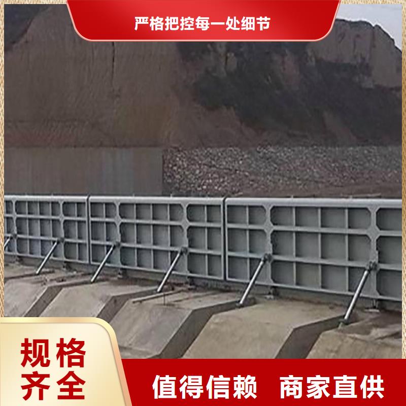 钢闸门移动式卷扬启闭机品质保障价格合理厂家技术完善