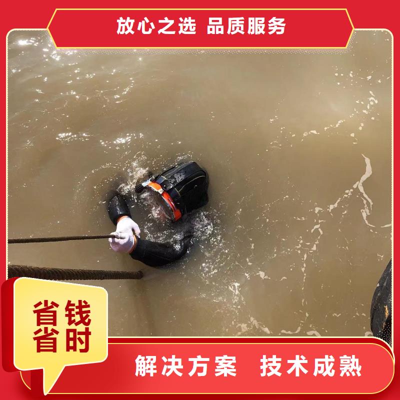 水下摄影精湛、成熟放心