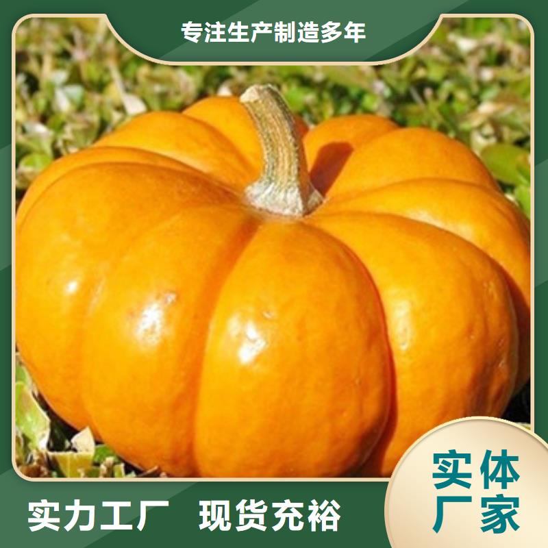 南瓜丁-胡萝卜粉极速发货质量牢靠