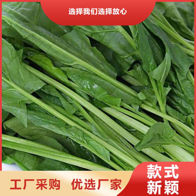 绿色菠菜粉厂家价格优势今日新品