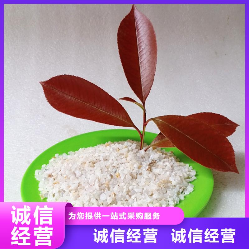 石英砂柱状活性炭质量好同城供应商