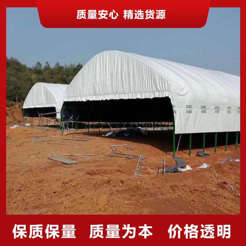 大棚管玻璃温室大棚厂家直销值得选择本地品牌