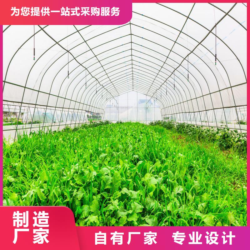 大棚管2温室大棚管无中间商厂家直销材质实在