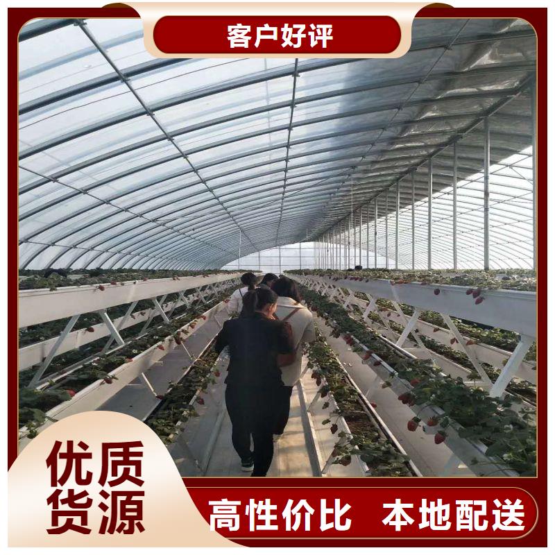 大棚管2方矩管种类齐全厂家定制