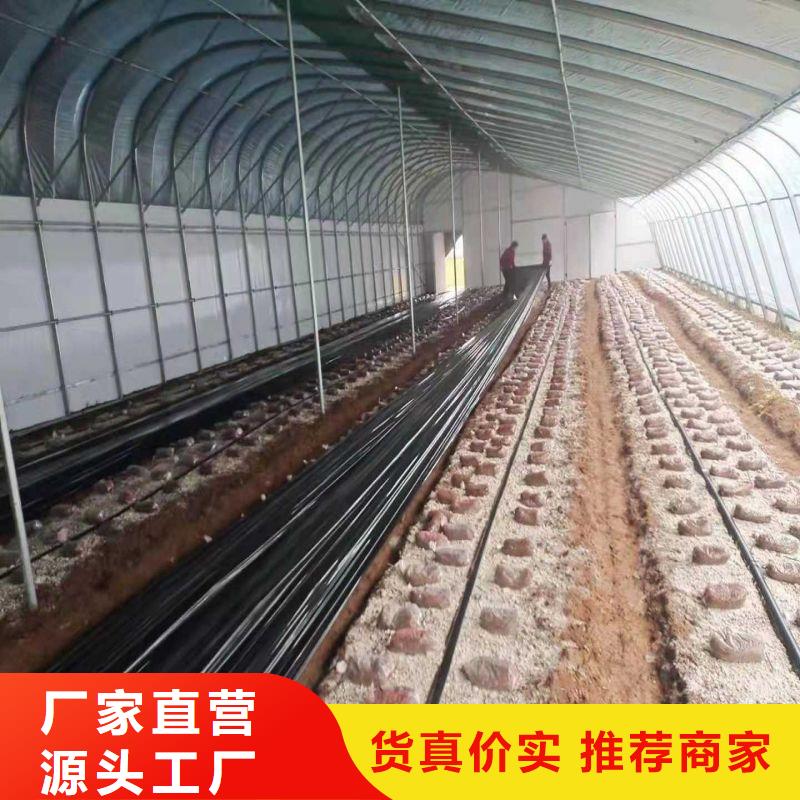 【大棚管2大棚管重信誉厂家】现货快速采购