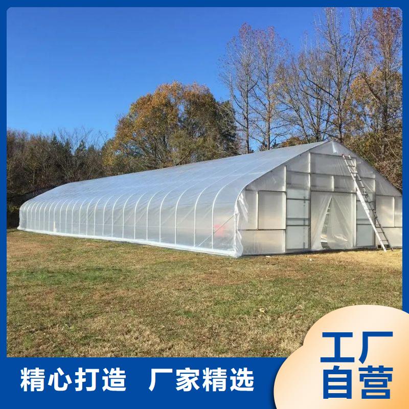 大棚管2连栋大棚管设计制造销售服务一体满足客户所需