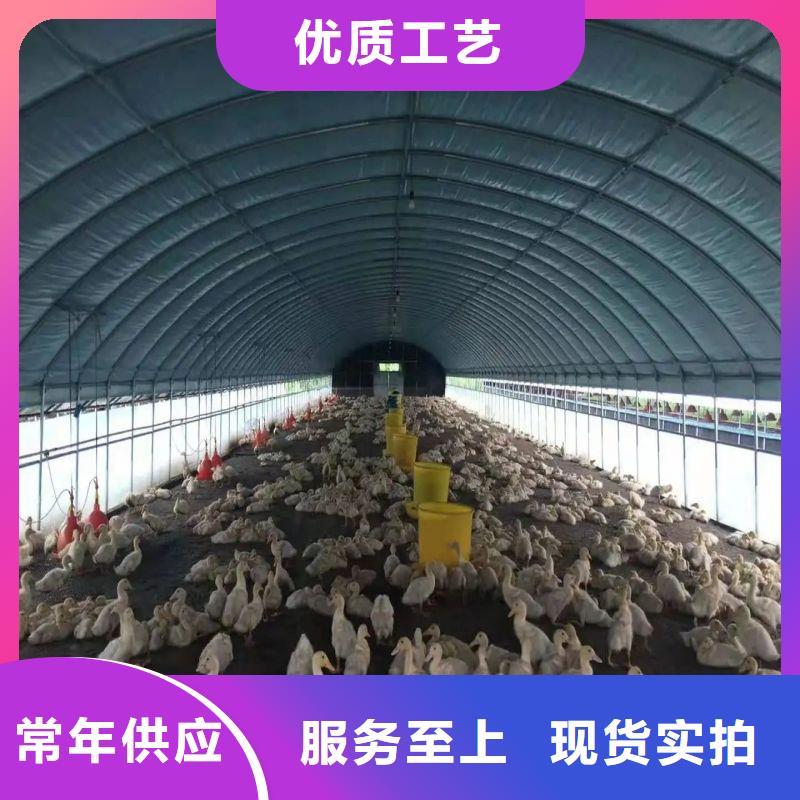 大棚管2大棚管厂家老品牌厂家本地生产商