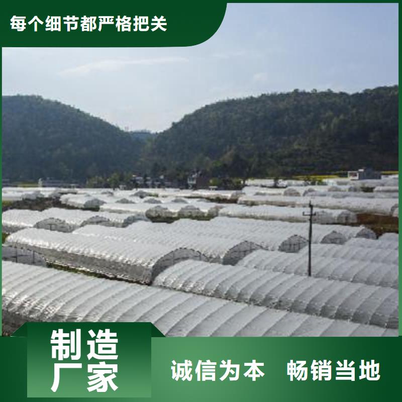 【大棚管】,椭圆管温室大棚今日新品一手价格
