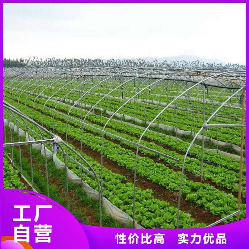 大棚管量少也做当地供应商