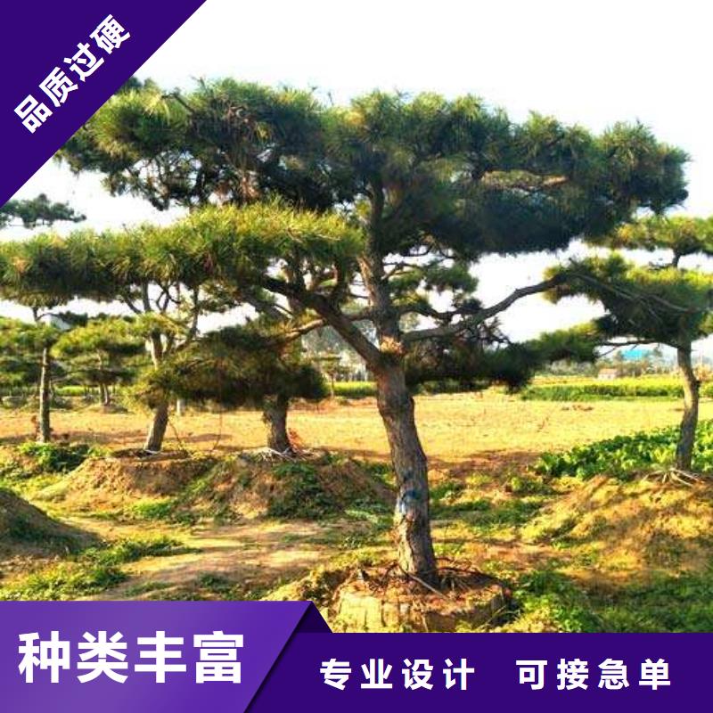 造型松造型池松每个细节都严格把关支持货到付清