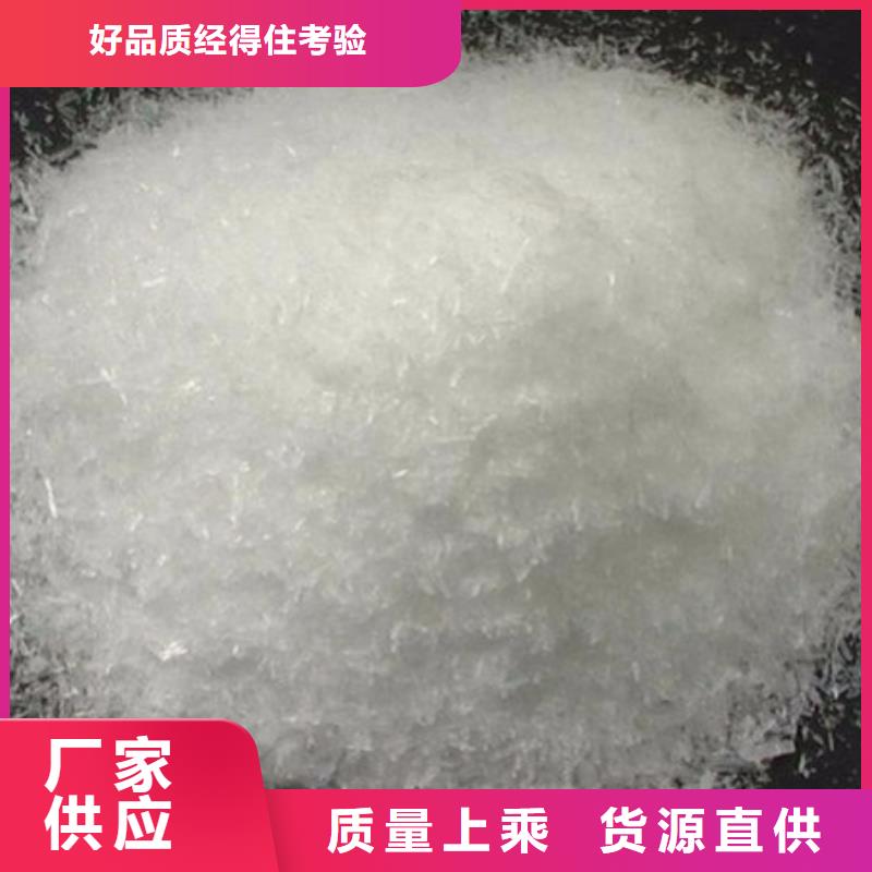 培养菌种碳源无中间商本地制造商