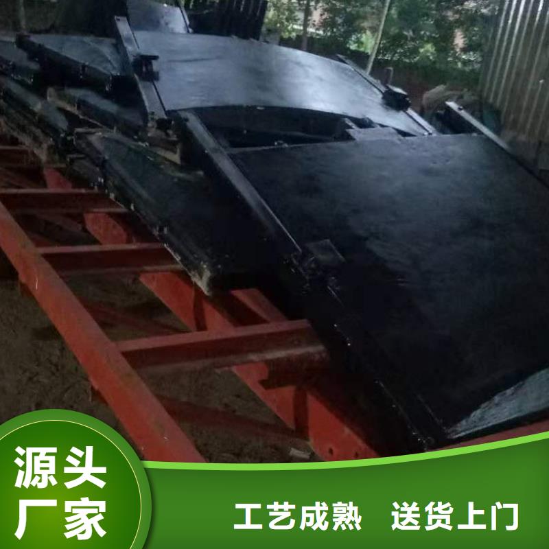 渠道闸门欢迎电询当地品牌
