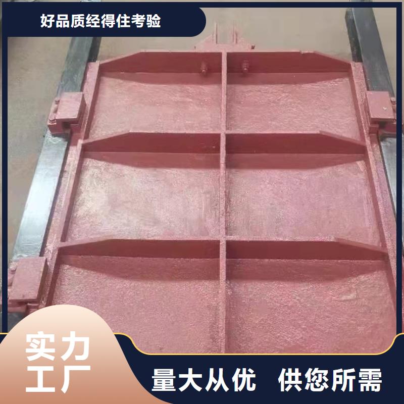 球墨铸铁闸门免费提供咨询本地供应商
