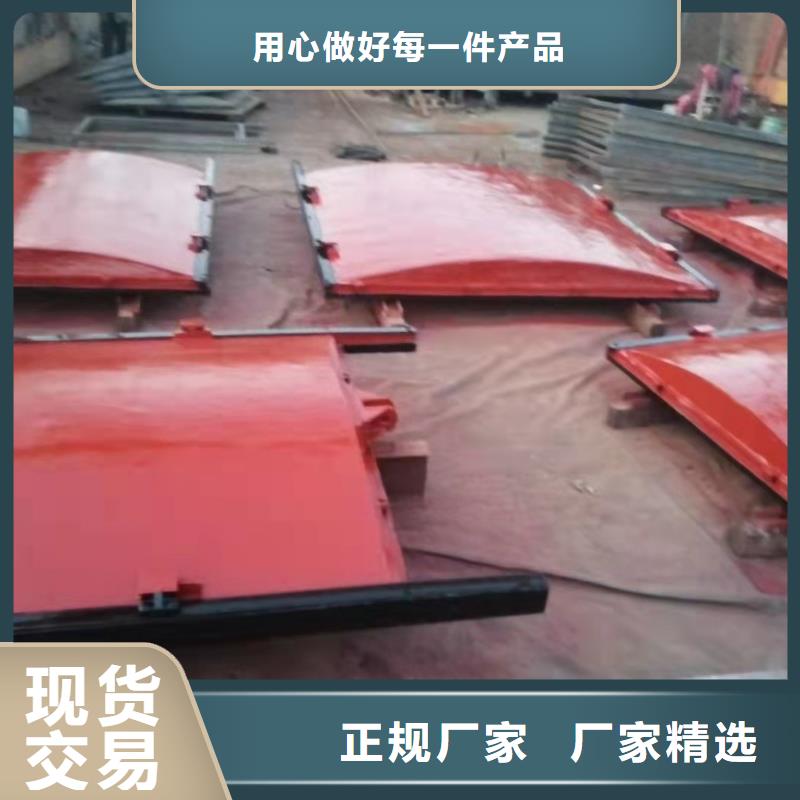 扇形闸门支持定制诚信厂家