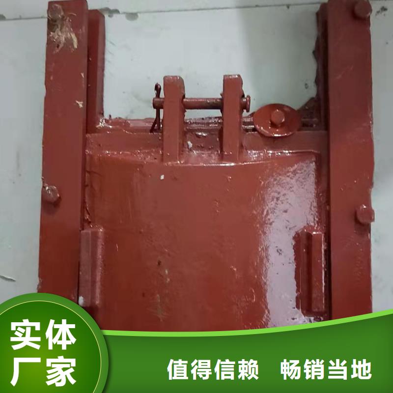 【铸铁闸门_螺杆启闭机厂家做工精细】量少也做