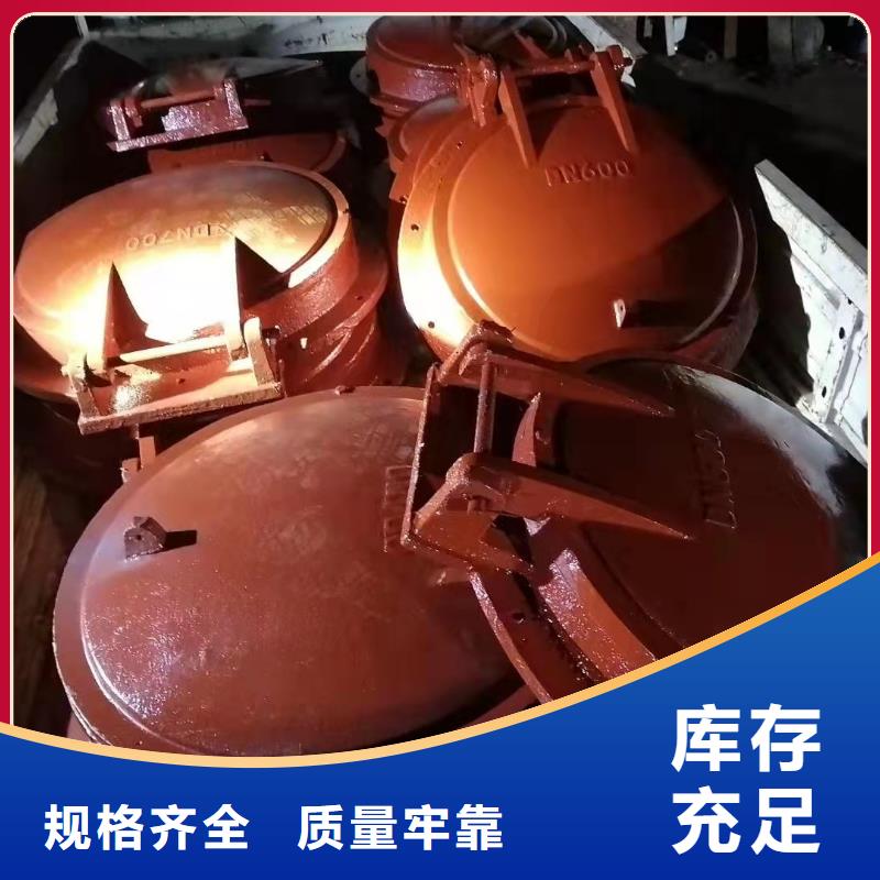 水库铸铁闸门欢迎电询材质实在