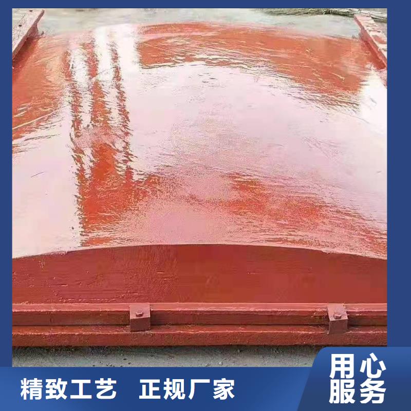 铸铁拍门免费指导安装品质优选