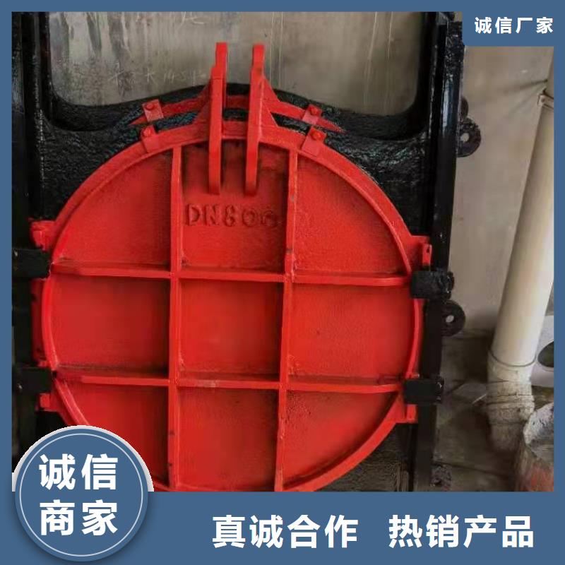 复合闸门欢迎电询细节决定品质