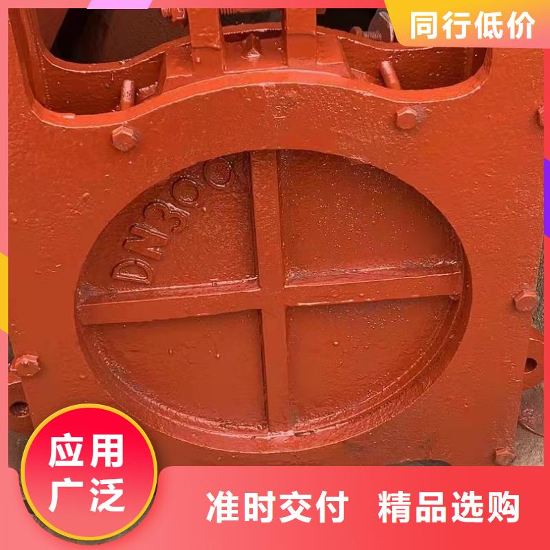 铸铁闸门【闸门启闭机厂家】专业完善售后专业厂家