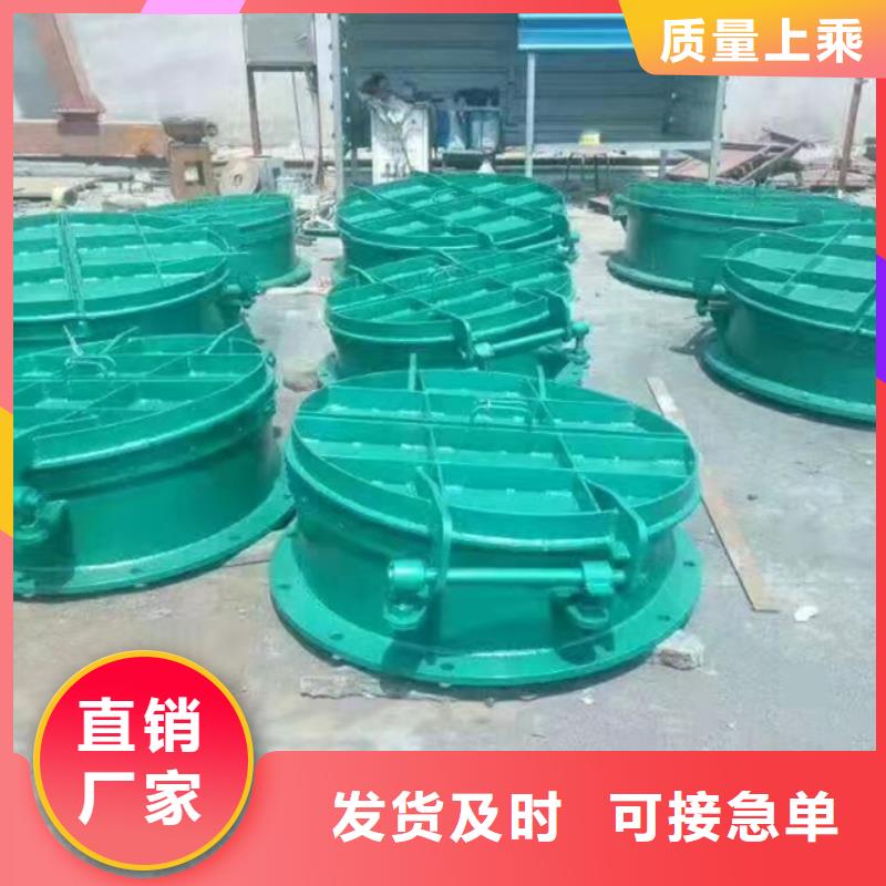 钢闸门_拍门厂家准时交付同城生产厂家