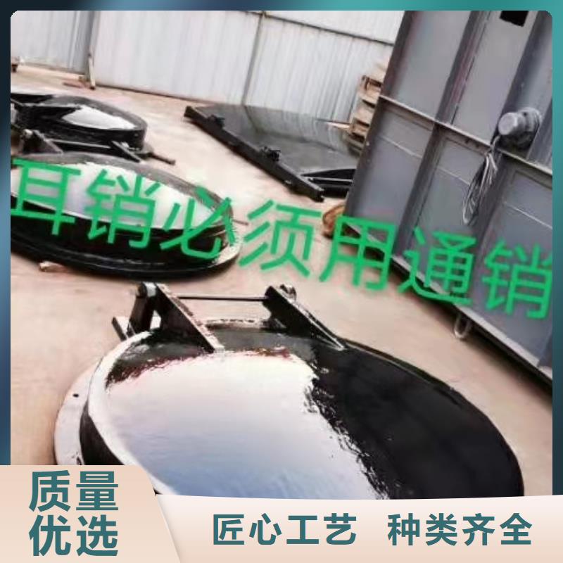 钢闸门款式多样品种全