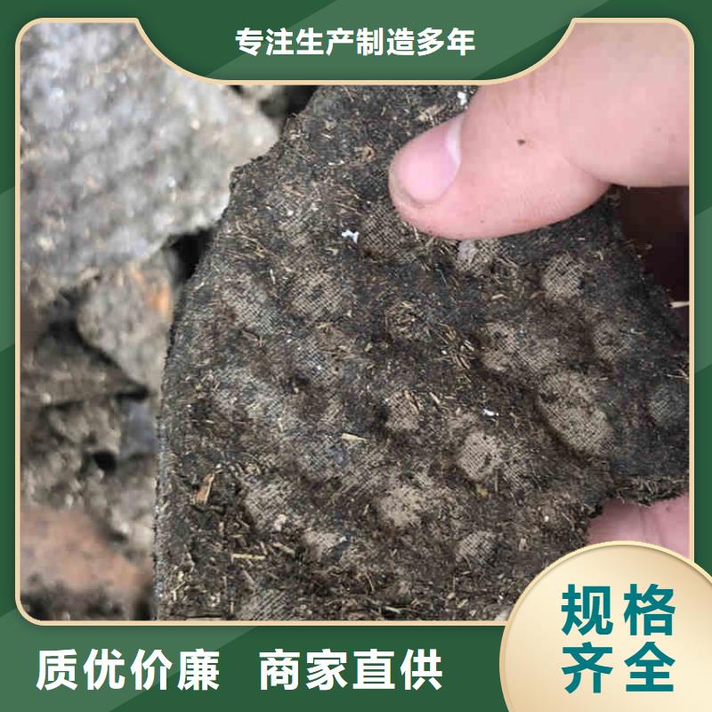 2025实时行情:聚合氯化铝厂家一手货源直发省市县区支持大批量采购